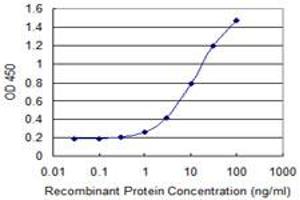 Detection limit for recombinant GST tagged PER3 is 0. (PER3 antibody  (AA 1105-1201))