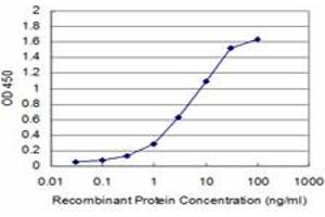 Detection limit for recombinant GST tagged HOXB7 is approximately 0. (HOXB7 antibody  (AA 55-120))