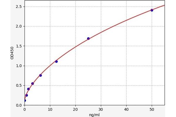 STAT4 ELISA Kit