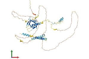 AlphaFold protein structure predicition of Mouse Recombinant Plekho2 Protein, UniprotID Q8K124 (PLEKHO2 Protein (AA 1-495) (His tag))