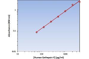 This is an example of what a typical standard curve will look like. (Cathepsin L2 ELISA Kit)