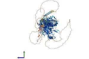 AlphaFold protein structure predicition of Human Recombinant USP38 Protein, UniprotID Q8NB14 (USP38 Protein (AA 1-1042) (His tag))