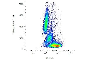 Flow cytometry analysis (intracellular staining) of human peripheral blood with anti-Bcl2 (Bcl-2/100) PE. (Bcl-2 antibody  (AA 41-54) (PE))