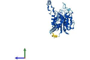 AlphaFold protein structure predicition of Mouse Recombinant B3gat3 Protein, UniprotID P58158