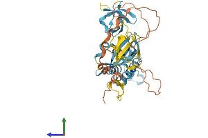 AlphaFold protein structure predicition of Mouse Recombinant Noxo1 Protein, UniprotID Q8VCM2 (NOXO1 Protein (AA 1-349) (His tag))