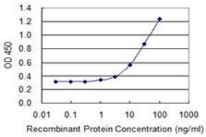 Detection limit for recombinant GST tagged TIMM8B is 0. (TIMM8B antibody  (AA 1-83))