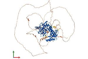 AlphaFold protein structure predicition of Human Recombinant HASPIN Protein, UniprotID Q8TF76