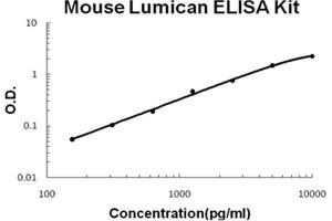 Mouse Lumican PicoKine ELISA Kit standard curve (LUM ELISA Kit)
