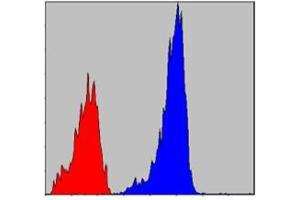 Flow cytometric analysis of NIH/3T3 cells using SMAD2 mouse mAb (blue) and negative control (red). (SMAD2 antibody)