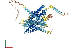 AlphaFold protein structure predicition of Mouse Recombinant Slc9a8 Protein, UniprotID Q8R4D1 (NHE8 Protein (AA 1-576) (His tag))