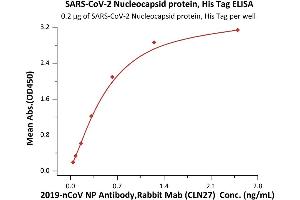 ELISA image for SARS-CoV-2 Nucleocapsid (SARS-CoV-2 N) (AA 1-419) (Active) protein (His tag) (ABIN7013242)