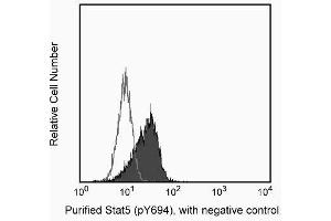 Image no. 3 for anti-Signal Transducer and Activator of Transcription 5A (STAT5A) (pTyr694) antibody (ABIN968702) (STAT5A antibody  (pTyr694))