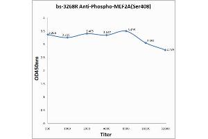 ELISA image for anti-Myocyte Enhancer Factor 2A (MEF2A) (pSer408) antibody (ABIN743783)