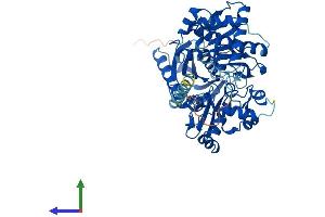 AlphaFold protein structure predicition of Mouse Recombinant Gk2 Protein, UniprotID Q9WU65 (GK2 Protein (AA 1-554) (His tag))
