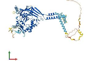 Protein Structure (PS) image for Sodium Channel, Nonvoltage-Gated 1, beta (SCNN1B) (AA 1-638) protein (His tag) (ABIN7565212)
