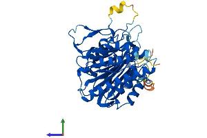 AlphaFold protein structure predicition of Human Recombinant SCRN3 Protein, UniprotID Q0VDG4