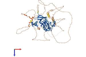 AlphaFold protein structure predicition of Human Recombinant SIK1 Protein, UniprotID P57059 (SIK1 Protein (AA 1-783) (His tag))