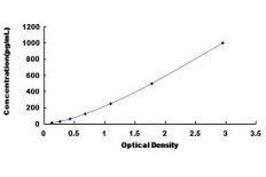 Glutamate Receptor 1 (GLUR1) ELISA Kit