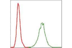 Flow cytometric analysis of Jurkat cells using NEFL mouse mAb (green) and negative control (red). (NEFL antibody)