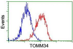 Image no. 2 for anti-Translocase of Outer Mitochondrial Membrane 34 (TOMM34) antibody (ABIN1501463) (TOMM34 antibody)
