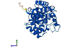 AlphaFold protein structure predicition of Human Recombinant AKR7L Protein, UniprotID Q8NHP1