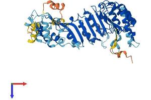 PRAME Family Member 12 (PRAMEF12) (AA 1-483) protein (His tag)
