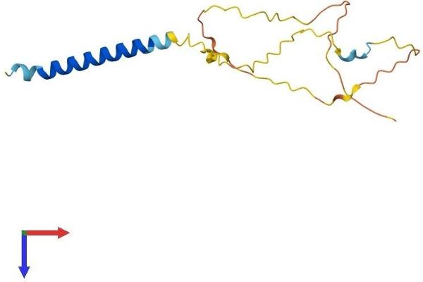 SCIMP Protein (AA 1-150) (His tag)