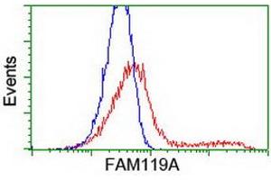 HEK293T cells transfected with either RC207629 overexpress plasmid (Red) or empty vector control plasmid (Blue) were immunostained by anti-FAM119A antibody (ABIN2455138), and then analyzed by flow cytometry.