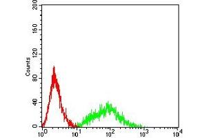 Flow cytometric analysis of HL-60 cells using CD141 mouse mAb (green) and negative control (red). (Thrombomodulin antibody  (AA 297-505))
