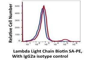 Flow Cytometry (FACS) image for anti-lambda Light Chain (Lambda-IgLC) antibody (Biotin) (ABIN6253019) (Lambda-IgLC antibody  (Biotin))