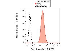 Intracellular staining of HeLa cells with anti-cytokeratin 18 (DC-10) FITC. (Cytokeratin 18 antibody  (FITC))