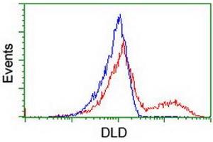 HEK293T cells transfected with either RC200639 overexpress plasmid (Red) or empty vector control plasmid (Blue) were immunostained by anti-DLD antibody (ABIN2454950), and then analyzed by flow cytometry. (DLD antibody)