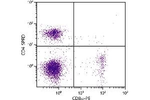 BALB/c mouse splenocytes were stained with Rat Anti-Mouse CD4-SPRD and Rat Anti-Mouse CD8α-PE. (CD4 antibody  (SPRD))