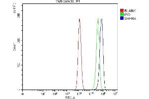 anti-SRPRA (AA 346-638) antibody