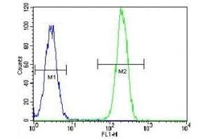 Flow Cytometry (FACS) image for anti-Nucleophosmin (Nucleolar phosphoprotein B23, Numatrin) (NPM1) (AA 198-226) antibody (ABIN3032076)