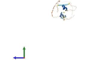 AlphaFold protein structure predicition of Human Recombinant CCDC157 Protein, UniprotID Q569K6 (CCDC157 Protein (AA 1-752) (His tag))