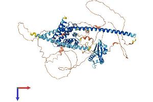 AlphaFold protein structure predicition of Mouse Recombinant Snx29 Protein, UniprotID Q9D3S3