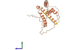 AlphaFold protein structure predicition of Human Recombinant IDI2-AS1 Protein, UniprotID Q9NZ38 (IDI2-AS1 Protein (AA 1-188) (His tag))