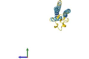 Protein Structure (PS) image for Tryptophan Rich Basic Protein (WRB) (AA 1-174) protein (His tag) (ABIN7545180)