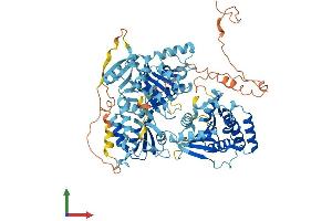 Protein Structure (PS) image for DNA Repair Protein Complementing XP-B Cells (ERCC3) (AA 1-783) protein (His tag) (ABIN7563333)