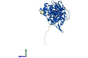 Protein Structure (PS) image for Aspartyl-tRNA Synthetase (DARS) (AA 1-501) protein (His tag) (ABIN7544070)