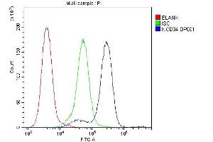 Flow Cytometry analysis of JK cells using anti-CD84 antibody (ABIN6719602). (CD84 antibody  (AA 22-225))