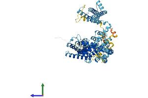 Protein Structure (PS) image for Two Pore Segment Channel 2 (TPCN2) (AA 1-731) protein (His tag) (ABIN7558957)