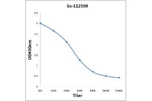 Antigen: 0. (EEA1 antibody  (AA 1251-1350))