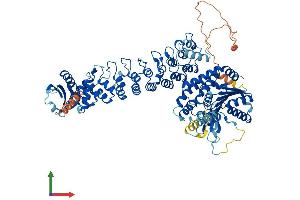 AlphaFold protein structure predicition of Mouse Recombinant Pla2g6 Protein, UniprotID P97819 (PLA2G6 Protein (AA 1-807) (His tag))