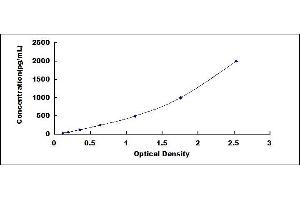 Typical standard curve (HPSE ELISA Kit)