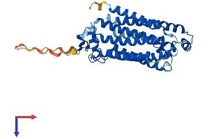 AlphaFold protein structure predicition of Human Recombinant PAQR9 Protein, UniprotID Q6ZVX9 (PAQR9 Protein (AA 1-377) (His tag))