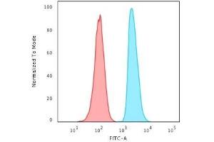 Flow Cytometric Analysis of HeLa cells using APEX Nuclease I Mouse Monoclonal Antibody (CPTC-APEX1-2). (SHP1 antibody)