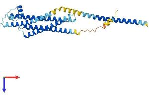 AlphaFold protein structure predicition of Human Recombinant STX1A Protein, UniprotID Q16623 (STX1A Protein (AA 1-288) (His tag))