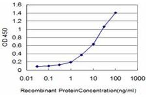 Detection limit for recombinant GST tagged HOXA11 is approximately 0. (Homeobox A11 antibody  (AA 60-166))